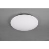 Reality WIZ FARA Lámpara de Techo LED con efecto de brillo, Blanca, 1 luz, Cambia de color