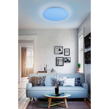 Reality WIZ FARA Lámpara de Techo LED con efecto de brillo, Blanca, 1 luz, Cambia de color