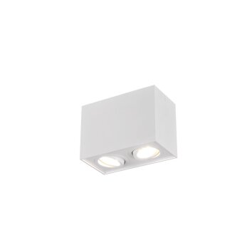 Lámpara de Techo Trio Leuchten BISCUIT Blanca, 2 luces
