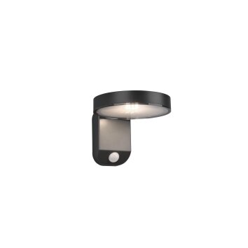 Reality Posadas Aplique LED Antracita, 1 luz, Sensor de movimiento