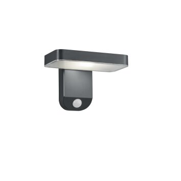 Reality Esquel Aplique LED Antracita, 1 luz, Sensor de movimiento