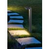 Reality Esquel Poste de Jardín LED Antracita, 1 luz, Sensor de movimiento