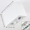 Baishan Lámpara de Techo LED Blanca, 2 luces