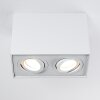 Baishan Lámpara de Techo LED Blanca, 2 luces