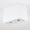 Baishan Lámpara de Techo LED Blanca, 2 luces