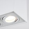 Baishan Lámpara de Techo LED Blanca, 2 luces