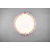 Reality Monte Lámpara de Techo LED Blanca, 1 luz, Mando a distancia