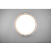 Reality Monte Lámpara de Techo LED Blanca, 1 luz, Mando a distancia
