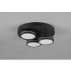 Lámparas Trio Franklin Plafones LED Antracita, 3 luces