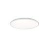 Reality Limbus Lámpara de Techo LED Blanca, 1 luz