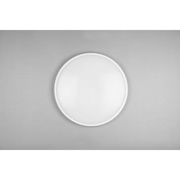 Reality Limbus Lámpara de Techo LED Blanca, 1 luz
