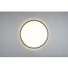 Reality Limbus Lámpara de Techo LED Negro, 1 luz