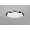 Reality Limbus Lámpara de Techo LED Negro, 1 luz