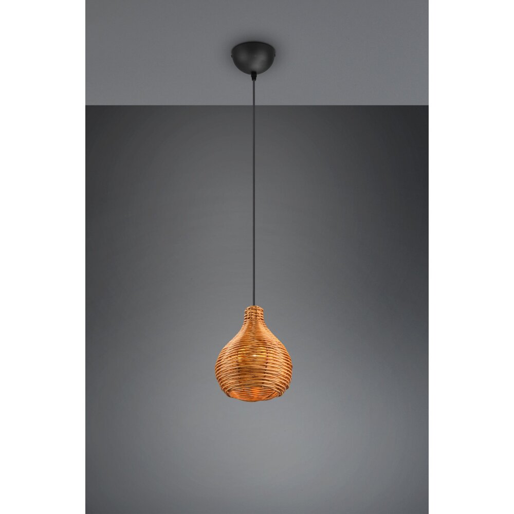 Reality Sprout Lámpara Colgante Negro, 1 luz main product photo