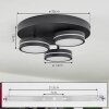 Huallilemu Lámpara de Techo LED Negro, 3 luces