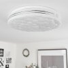 Savardeix Lámpara de Techo LED Cromo, Blanca, 1 luz, Mando a distancia, Cambia de color