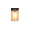 Lámparas Trio ARDILA Apliques Madera clara, 1 luz