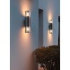 Lámparas Trio HOOSIC Apliques Negro, 2 luces