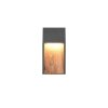 Lámparas Trio SALMON Apliques LED Madera clara, 1 luz