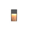 Lámparas Trio SALMON Apliques LED Madera clara, 1 luz