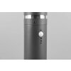 Lámparas Reality PALOMA Lámpara de pie para exterior Antracita, 1 luz, Sensor de movimiento