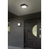 Lámparas Trio Decken- Plafones, Apliques LED Antracita, 1 luz