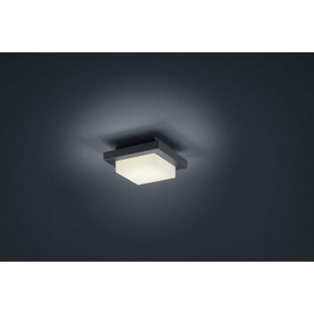 Lámparas Trio Decken- Plafones, Apliques LED Antracita, 1 luz