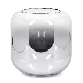 Pantalla de cristal  Lauden Vidrio de recambio 20 cm Transparente, Ahumado