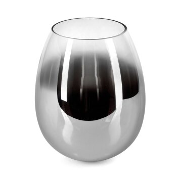 Vevino Vidrio de recambio Cromo, Transparente, Ahumado