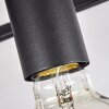 Wick Lámpara de Techo Negro, 4 luces