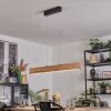 Fugelsta Lámparas suspendidas, Lámparas colgantes LED Negro, 1 luz