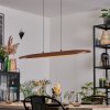 Fugelsta Lámparas suspendidas, Lámparas colgantes LED Negro, 1 luz