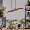 Fugelsta Lámparas suspendidas, Lámparas colgantes LED Negro, 1 luz