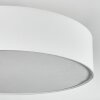 Foggia Plafones Níquel-mate, 3 luces