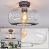Boza Plafones Transparente, 1 luz