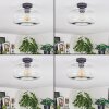 Boza Plafones Transparente, 1 luz