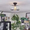 Boza Plafones Transparente, 1 luz