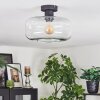 Boza Plafones Transparente, 1 luz