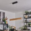 Fugelsta Lámparas suspendidas, Lámparas colgantes LED Negro, 1 luz