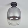 Apedo Plafones Transparente, Ahumado, 1 luz