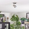 Edain Plafones, Spot techo LED Cromo, Níquel-mate, 1 luz