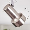 Edain Plafones, Spot techo LED Cromo, Níquel-mate, 1 luz