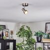 Edain Plafones, Spot techo LED Cromo, Níquel-mate, 1 luz