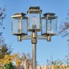 Tieva Candelabro, Iluminación de caminos Marrón, dorado, 3 luces