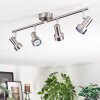 Edain Plafones, Spot techo LED Cromo, Níquel-mate, 4 luces