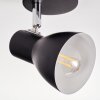 Farel Plafones, Spot techo Cromo, Negro, 1 luz