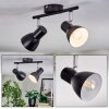 Farel Plafones, Spot techo Cromo, Negro, 2 luces