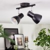 Farel Plafones, Spot techo Cromo, Negro, 2 luces