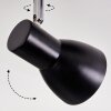 Farel Plafones, Spot techo Cromo, Negro, 2 luces