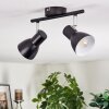 Farel Plafones, Spot techo Cromo, Negro, 2 luces